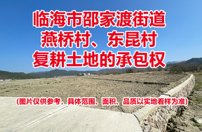 临海市邵家渡街道燕桥村、东昆村复耕土地的承包权